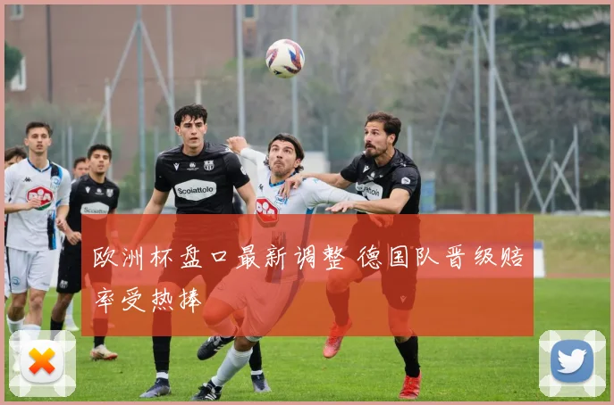欧洲杯盘口最新调整 德国队晋级赔率受热捧