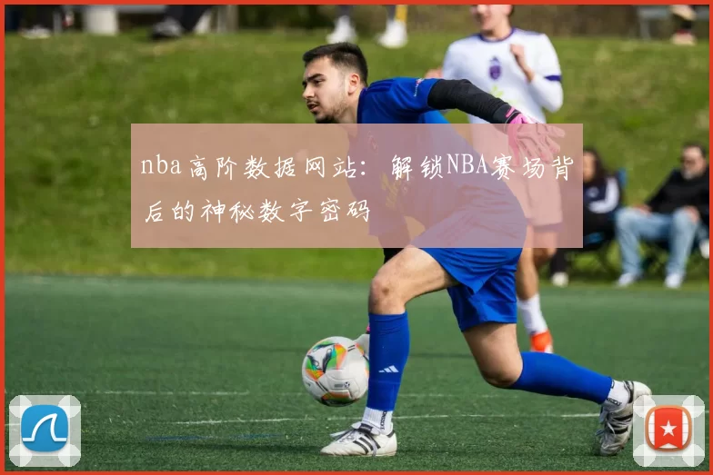 nba高阶数据网站：解锁NBA赛场背后的神秘数字密码